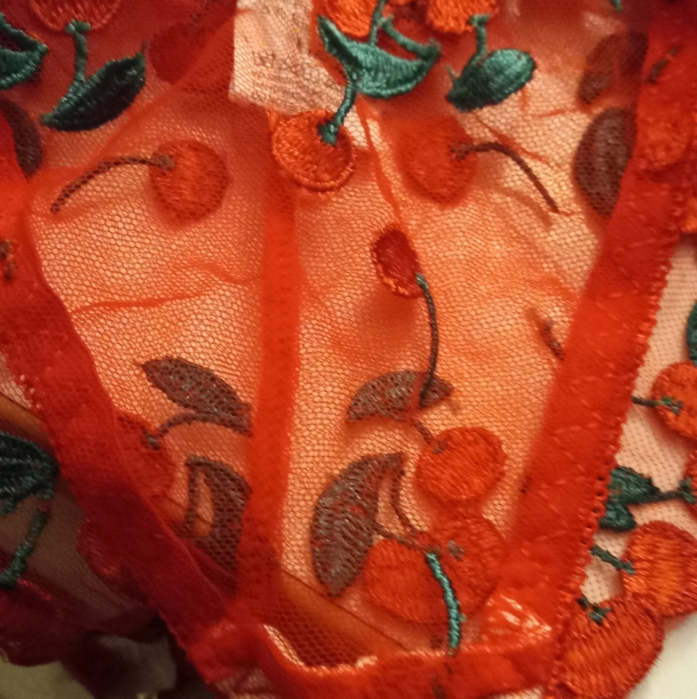 New,red sheer mesh cherries  embroidered underwire bra & thong lingerie size med - Picture 12 of 13